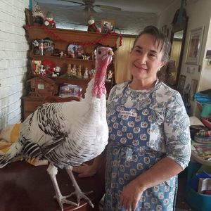 Meet your Posher, Cheri